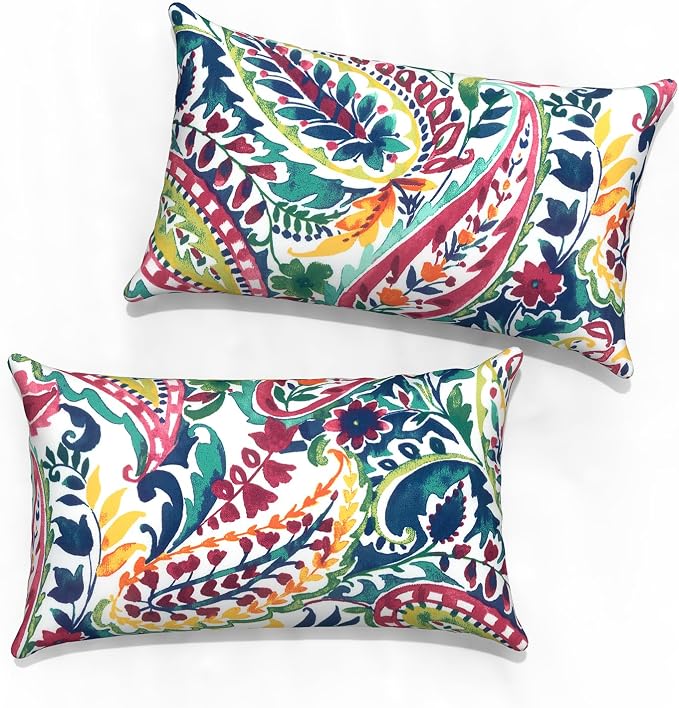 Outdoor Lumbar Pillow Covers 12”x20”, Rectangle Throw Pillow Covers for Patio Furniture, Decorative Lumbar Cushion Case for Garden Balcony Couch Office Chair, Pack of 2, Vigour Paisley