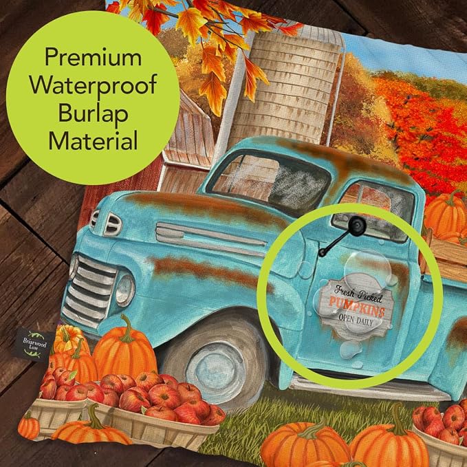 Briarwood Lane Fall Indoor/Outdoor Pillow 17x17 Fresh Picked Pumpkins for Fall Pillow