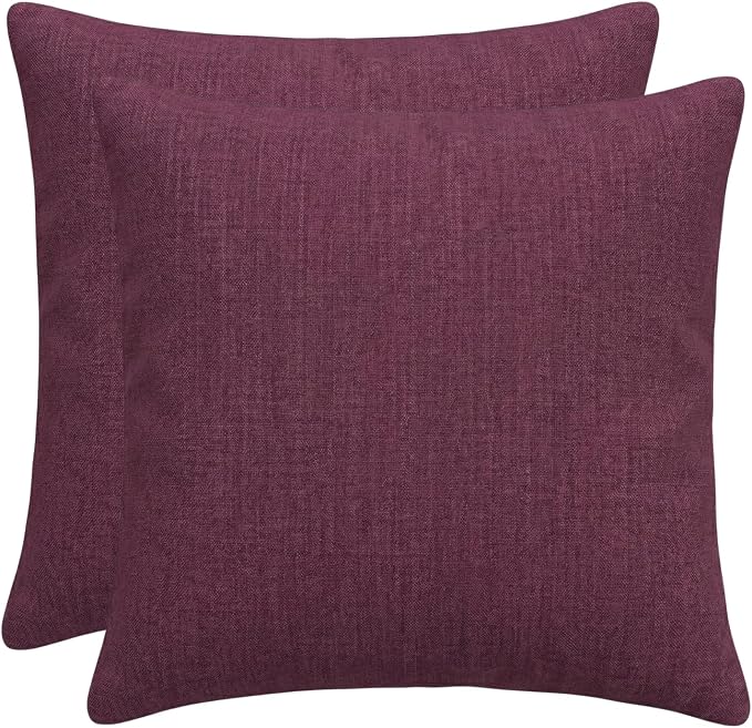 RSH DECOR Square Throw Pillows Set of 2, 20" x 20", Outdoor Pillows Waterproof, Outdoor Pillow Covers, Pillow Covers for Couch, Canvas Iris, Made in USA