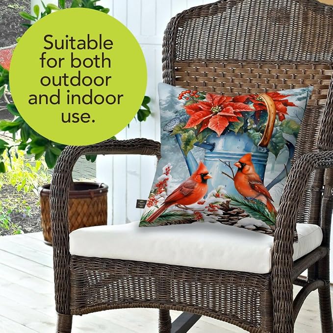 Briarwood Lane Winter Indoor/Outdoor Pillow 17x17 Winter Watering Can for Winter Pillow