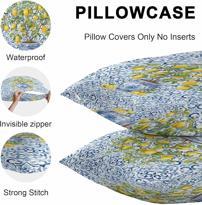 Summer Lemons Outdoor Pillow Covers 18x18 Inch Throw Pillow Covers Set of 2 Waterproof Decorative Pillow Cases Blue Boho Floral Farmhouse Botanical Cushion Covers for Patio Furniture Garden Couch Sofa