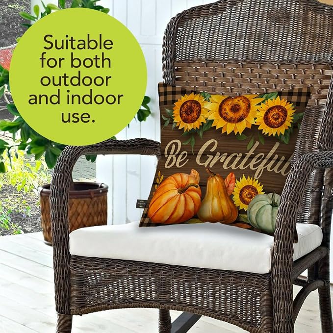 Briarwood Lane Indoor/Outdoor Pillow 17x17 Be Grateful Fall for Fall Pillow