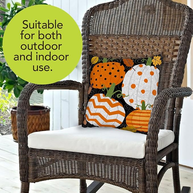 Briarwood Lane Fall Indoor/Outdoor Pillow 17x17 Fall Celebration Pumpkins for Fall Pillow