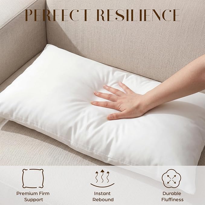 Sieral 2 Pcs 2.2 lb Weighted Outdoor Pillows Inserts, 12" x 20" Patio Waterproof Throw Pillows with 1.1 lb Glass Bead, Waterproof Square Pillow Cushion for Patio Garden Sofa Couch Deck, Yachts, Resort