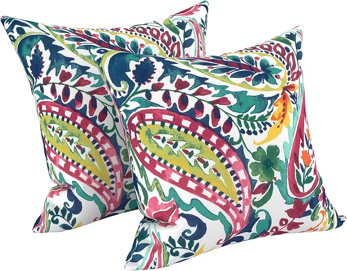 LVTXIII Outdoor Throw Pillows, Decorative Throw Pillows with Inserts, 16"x16" Square Pillows for Bed, Couch, Sofa and Patio Furniture, Set of 2, Vigour Paisley