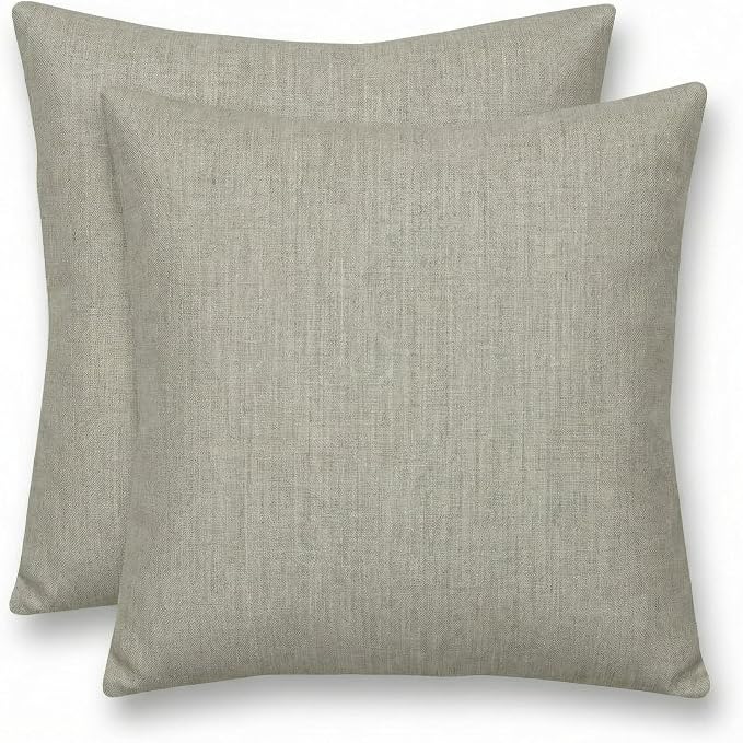 RSH DECOR: Sunbrella Square Throw Pillows Set of 2 | 20" x 20" | Water & Fade-Resistant Fabric | Outdoor Pillow Covers with Down-Alternative Inserts | Made in USA (Spectrum Dove)