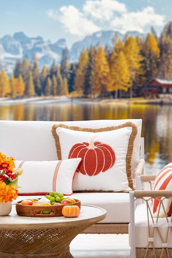 Hofdeco Premium Fall Coastal Patio Indoor Outdoor Pillow Cover Only, 20"x20" Water Repellent for Backyard, Couch, Rust Orange Embroidered Pumpkin with Fringed Trim