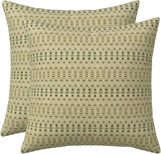 RSH DECOR Square Throw Pillows Set of 2, 17" x 17", Outdoor Pillows Waterproof, Cabrera Verde, Made in USA