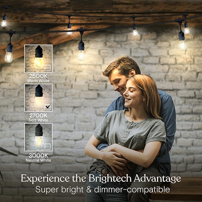 Brightech Ambience Pro - 24 Ft Waterproof LED Outdoor String Lights - Hanging, Dimmable 2w Vintage Edison Bulbs -Commercial Grade Patio Lights Create Cafe Ambience in Your Backyard - 7 Lights, Black