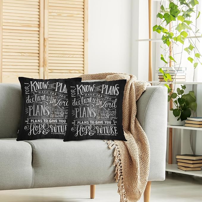 Swono Bible Verse Home Decorative Throw Pillows Covers, Holy Bible Set of 2 Pillow Case for Livingroom Bedroom, Boho Pillow Cushion Covers for Man Woman 18"X18", for I Know The Plan I Have for You