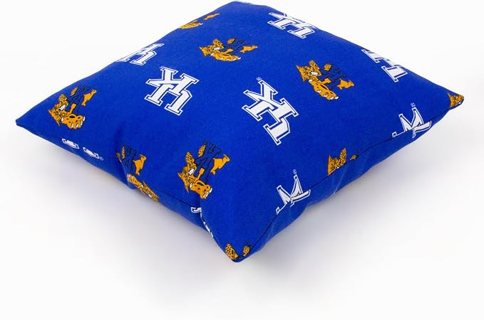 College Covers Kentucky Wildcats Outdoor Decorative Pillow Pair-(2) 16" x 16" Pillows