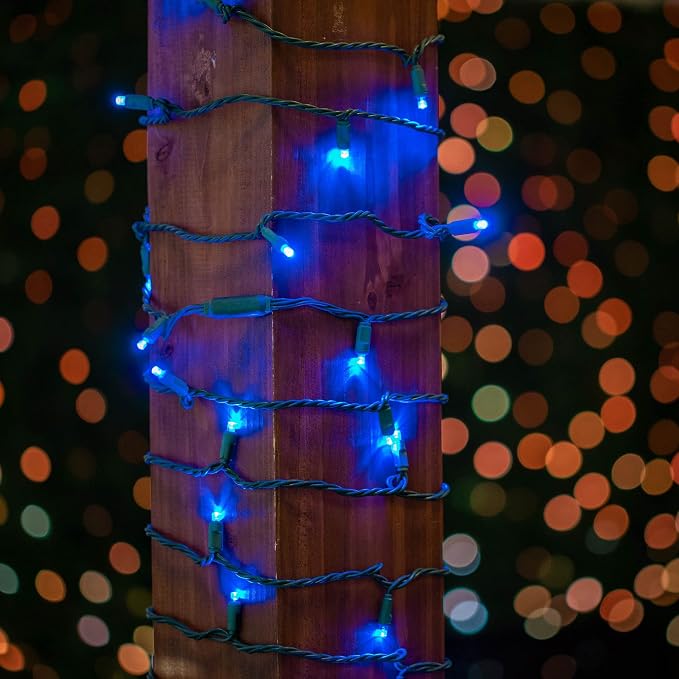 Novelty Lights 12-Pack, 50 Feet 100 LED Blue Christmas Mini Light String on Green Wire, 5mm Wide Angle Bulbs, Connectable, Indoor/Outdoor Decor, UL Listed