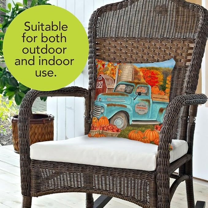 Briarwood Lane Fall Indoor/Outdoor Pillow 17x17 Fresh Picked Pumpkins for Fall Pillow