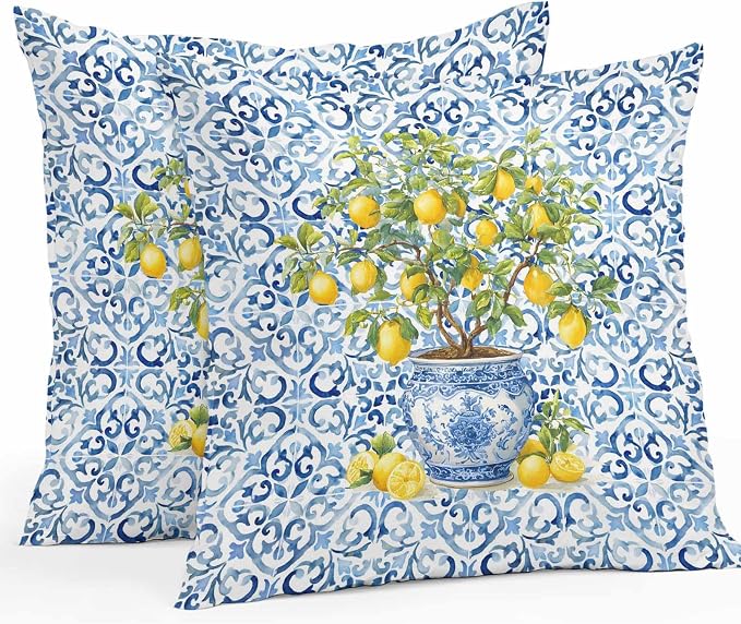 Summer Lemons Outdoor Pillow Covers 24x24 Inch Throw Pillow Covers Set of 2 Waterproof Decorative Pillow Cases Blue Boho Floral Farmhouse Botanical Cushion Covers for Patio Furniture Garden Couch Sofa