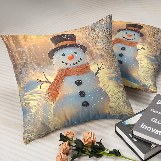 Winter Pillow Covers Snowman in The Sunshine Throw Pillow Covers 18x18 Snowflakes Pillow Case Double Sided Printing Cushion Case for Home Decor Couch Sofa Set of 2