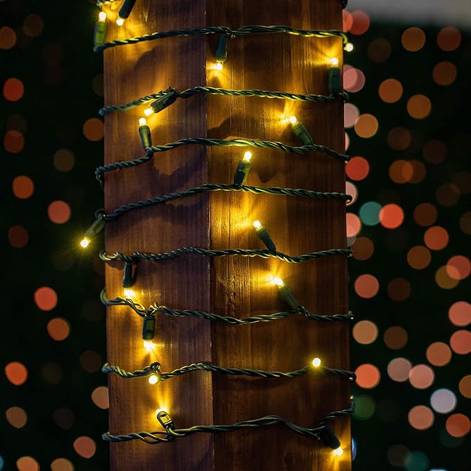Novelty Lights 50ft 100 LED Warm White Christmas Lights, Green Wire