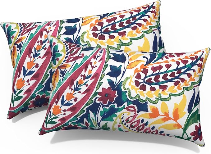 Pack of 2 Outdoor Lumbar Pillow Covers, All Weather Cushion Pillow Cases 12x20 Inch, Pillowcase for Patio Couch Decoration, Vigour Paisley