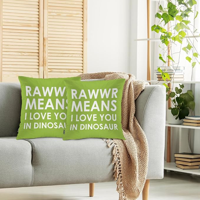Swono Dinosaur Phrase Decorative Throw Pillows Covers, Rawwr Means I Love You in Dinosaur Square Pillow Cushion Covers for Man Woman, Pillowcases Decor for Home Sofa Bed Garden 2 Packs, 18x18 Inch