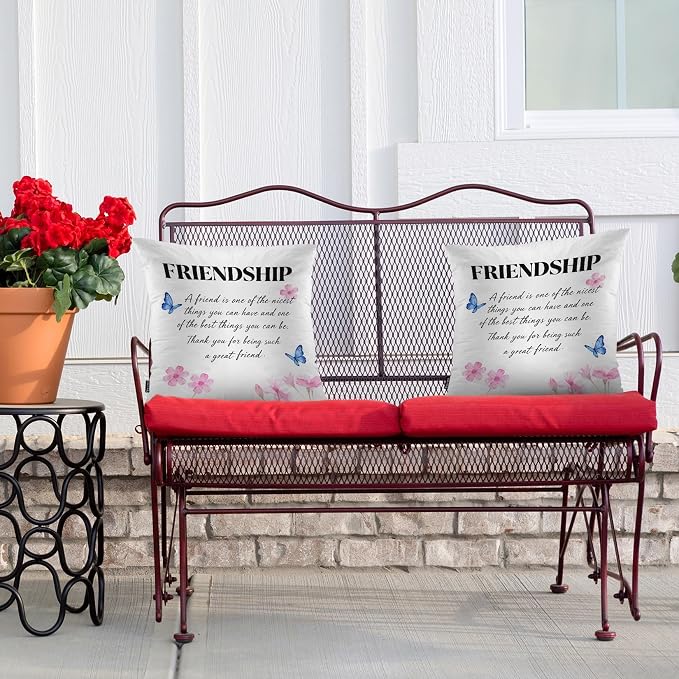 Swono Set of 2 Friendship Pillow Covers 18 X 18 Inch, A Friend is One of The Nicest Things Square Decorative Throw Pillow Covers for Sofa Couch Bed, Outdoor Indoor Pillowcase Cushion Cover
