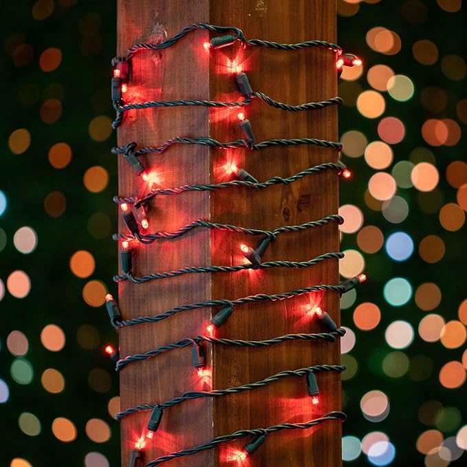 Novelty Lights 50ft 100 LED Red Christmas Lights, Green Wire String Lights