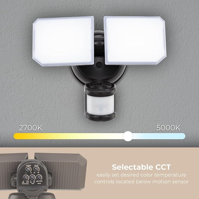 Guardian Flood and Security Wall Light with 2 Lights 2,250 Lumens 20 Watts and Programmable Motion and Photo Sensor in Black