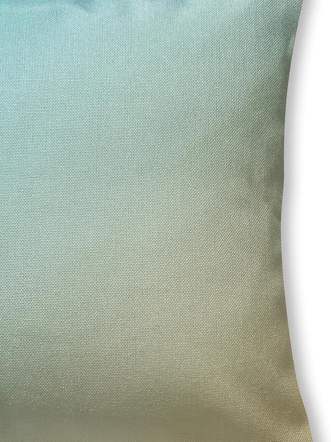 Fab Habitat Indoor/Outdoor Throw Pillow Made from Recycled Polyester Yarn - Double Sided, Stain Resistant, Machine Washable - Ombre - Patio, Deck, Porch, Living Room - Big Sur Aqua (20" x 20")