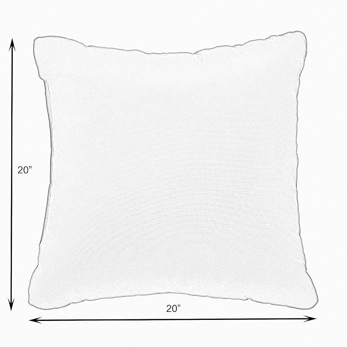 Sorra Home Indoor Outdoor Sunbrella Square Pillows, Set of 2, 20x20, Canvas Natural Ivory & Canvas Black